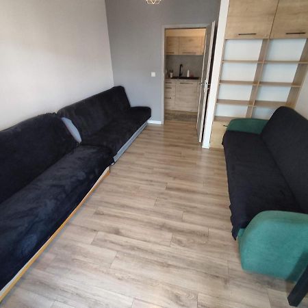1120 Smialego 41 - Tanie Pokoje W Apartamencie - Samodzielne Zameldowanie - Self Check In Poznań Eksteriør billede